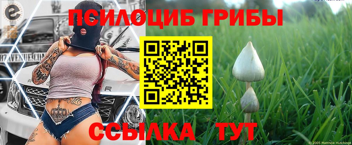Галлюциногенные грибы прущие грибы Бугуруслан