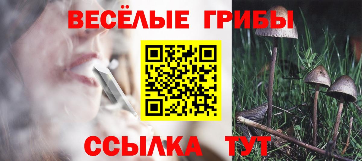 Галлюциногенные грибы Psilocybine cubensis  Вход с VPN  Галлюциногенные грибы прущие грибы  Бугуруслан 